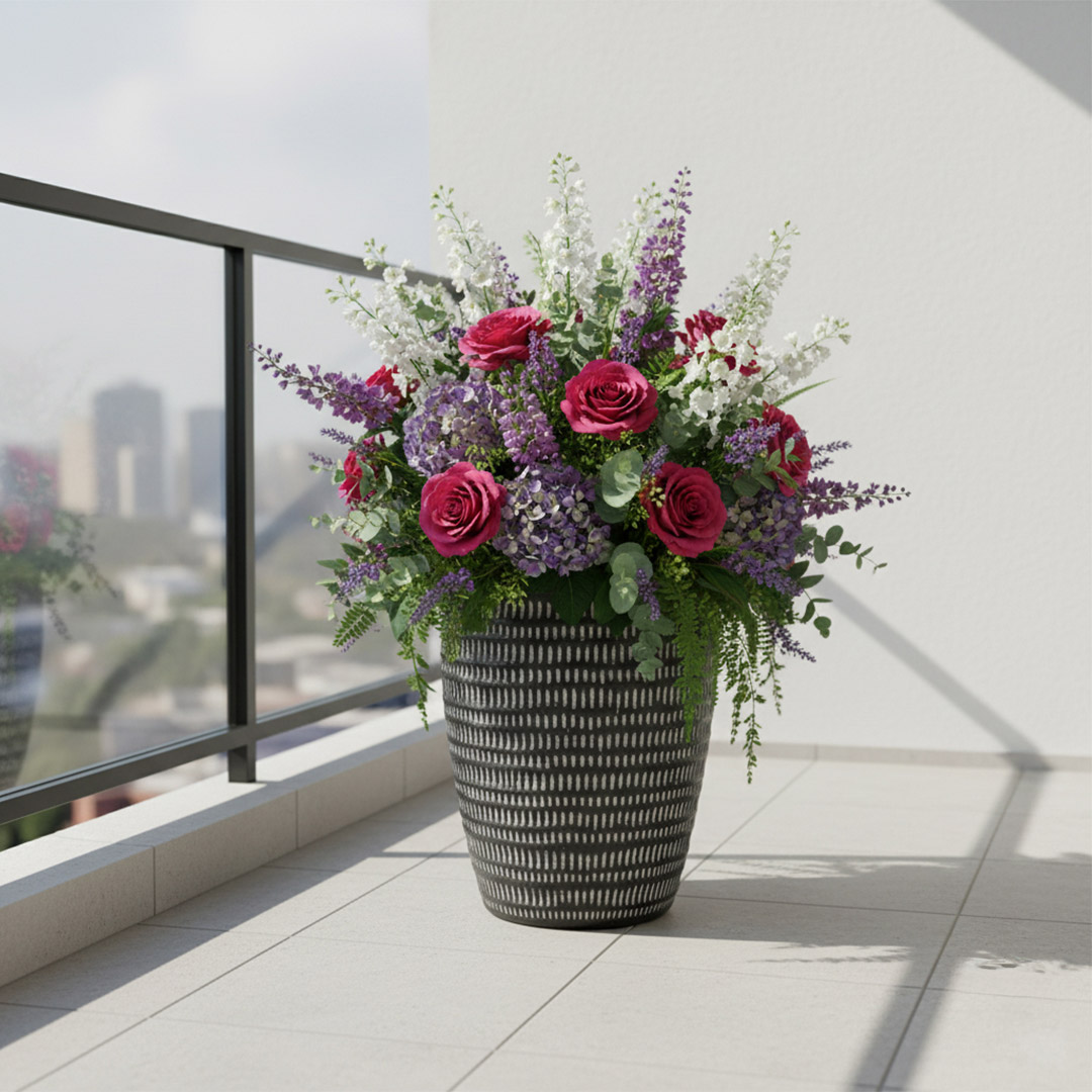 Areca - Image 4