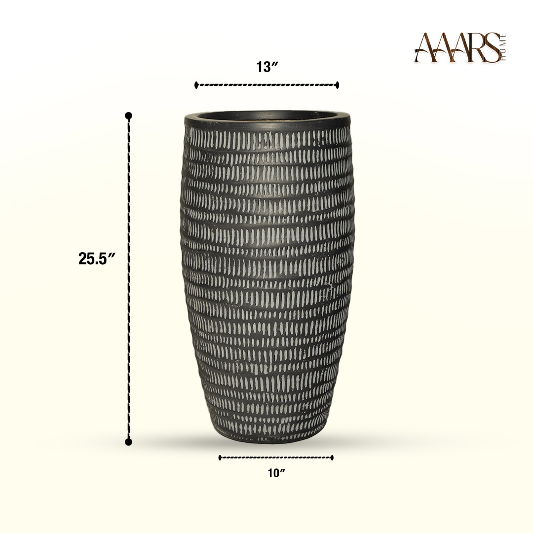 Areca - Image 5
