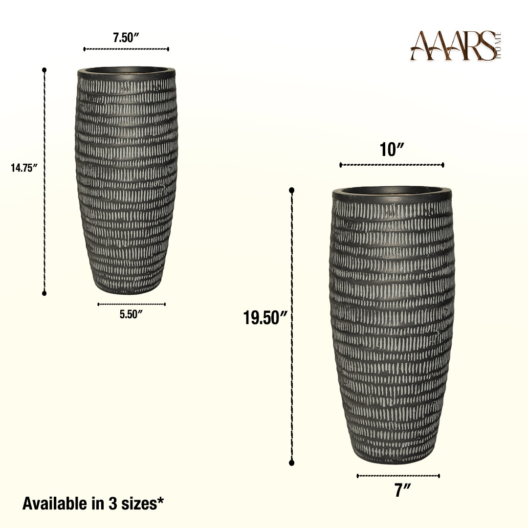 Areca - Image 6