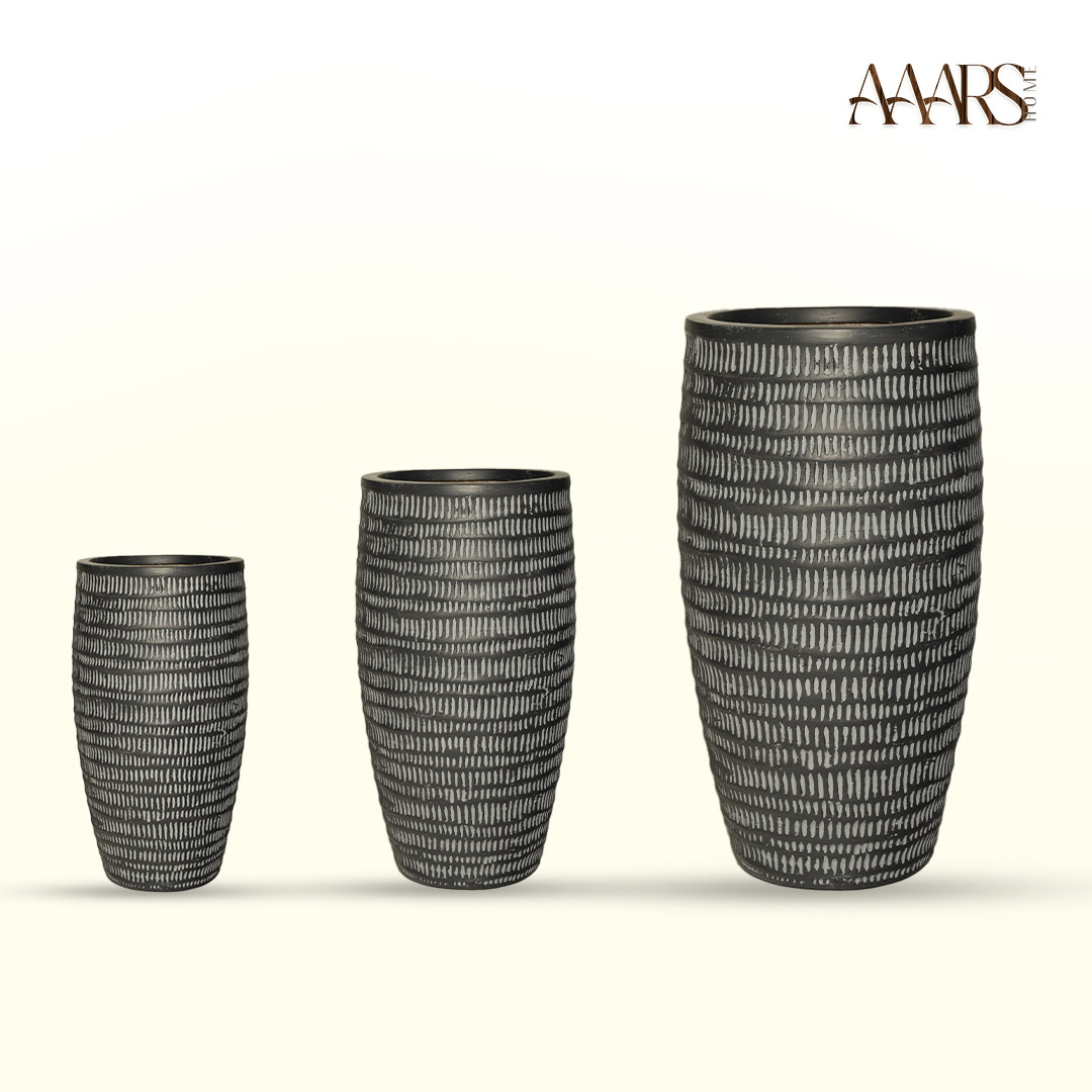 Areca - Image 7