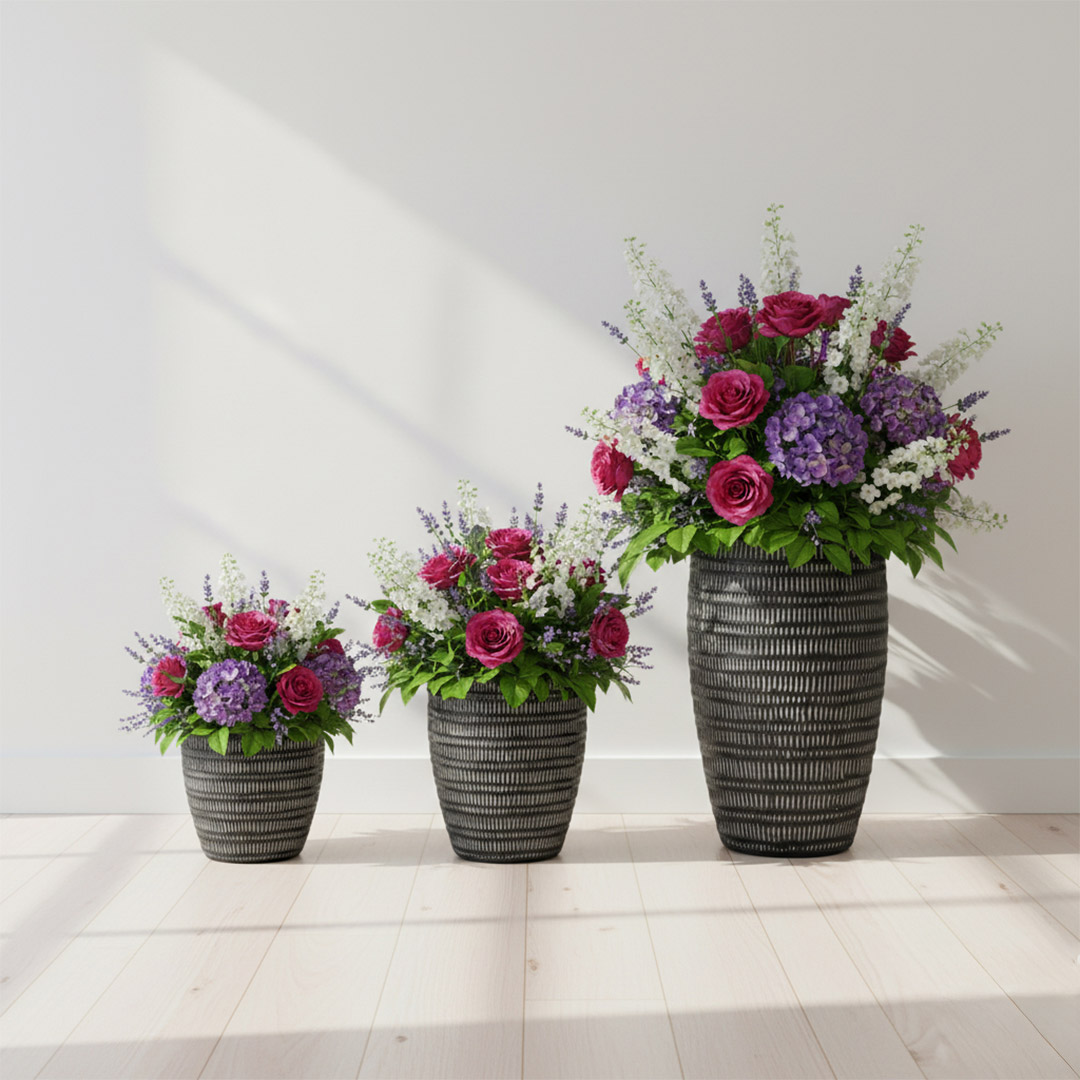 Areca - Image 8